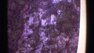 1971: An aerial view of a forest area is seen.HAWAII