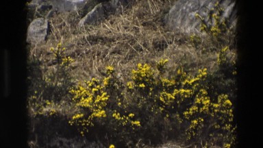 1969: a beautiful scene IRELAND