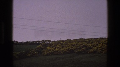 1969: a scene with bushes is seen IRELAND