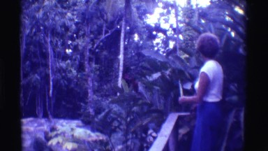 1971: a lady enjoying in forest HAWAII
