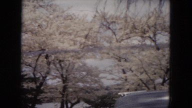 1953: hood of a car or vehicle pulling into view with water and trees