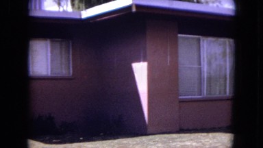 1970: keeping a tree in the front yard WHITE SANDS, FLORIDA