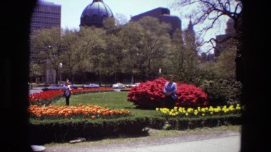 1972: in the park on a sunny day with all the flowers in bloom IRAN