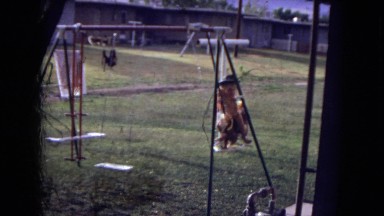 1973: a cute little girl in a western hat swinging on a swing set