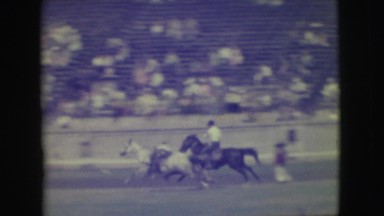 1941: locking cow with a horse chase NEVADA