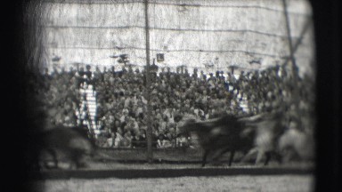 1948: horses are seen running CHICAGO