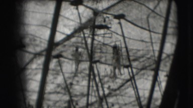 1948: a group of girls is seen acting in a net area CHICAGO