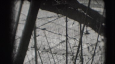 1948: a fenced area is seen inside an act is taking place CHICAGO