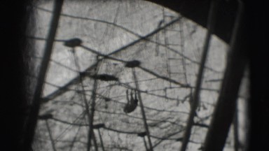 1948: a man is seen swinging CHICAGO