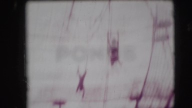 1948: acrobats in circus CHICAGO