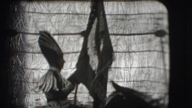 1948: a person is seen on a horse and people are seen doing acts CHICAGO