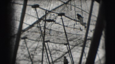 1948: people are seen playing in some net area CHICAGO