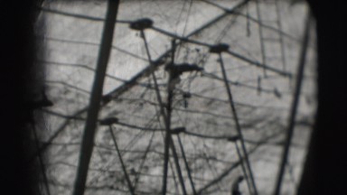 1948: an act inside a net area is seen CHICAGO