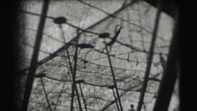 1948: a person is seen swinging on his hands in a net area CHICAGO