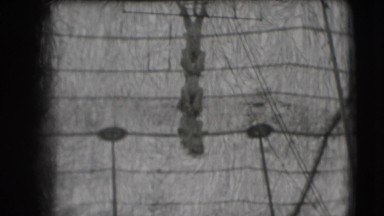 1948: a couple of individuals who hang from each other in a long row, looking