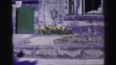 1952: Yellow Daffodils and Flowers Planted in Front of a Window