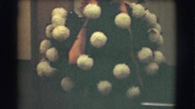 1959: man standing between arrangement talking ST. LOUIS