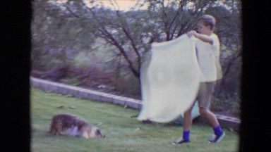 1961: a dog after a wash is playing and drying itself TOLEDO, OHIO