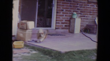 1961: mum's gone out daddy and i making sure the day isn't a boring one for us