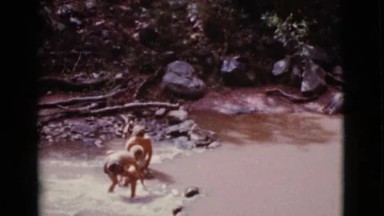 1968: Two Little Boys Playing and Splashing in Water and Finding Rocks