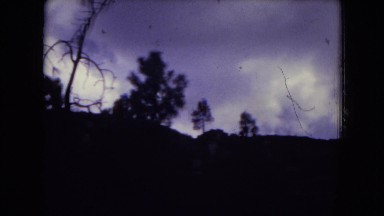 1973: a scary forest scene is seen IRAN