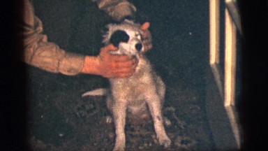 1956: family fun afternoon party during the dog days of summer NEW YORK CITY