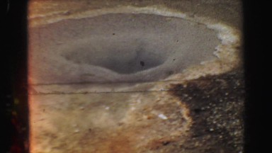 1967: animal grazing for food in the cold winter while being observed WYOMING