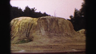 1967: a zoom of a forest WYOMING