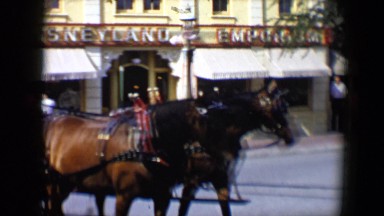 1959: Mother and Son Riding Horse-Drawn Chariot at Disneyland