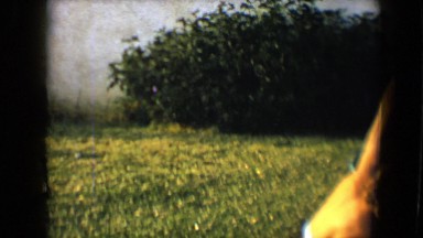 1959: children are engaged in different plays on the grassy ground DISNEYLAND,