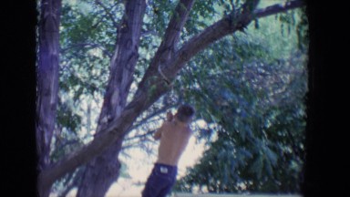 1958: an active boy outdoors climbing down a rope tied to a tree branch by a car