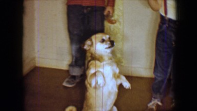 1959: dog begging as kids eat ice cream DISNEYLAND, CALIFORNIA