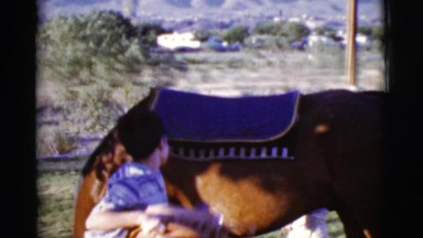 1968: Man Putting Saddles on Horseback for Ride in Cottonwood, Arizona