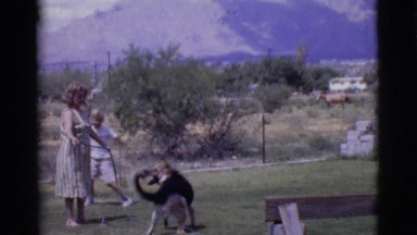 1968: lady makes the dog running after the water sprayed COTTONWOOD, ARIZONA