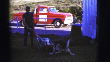 1968: man doing grounds work on his home or job with help from his canine friend