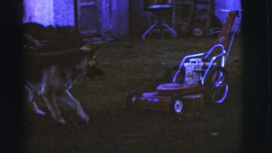 1968: man smokes pushing lawn mower as dog follows it back and forth.