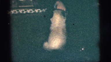 1956: a musical troupe playing instruments and one person playing with a dog