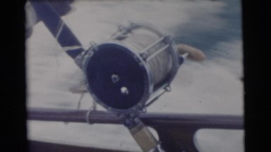 1956: a man sailing swiftly while unties a knot in a rope of the boat FLORIDA