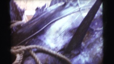 1956: classic video of huge marlin caught on a fishing boat FLORIDA