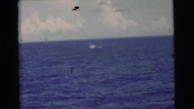 1956: unknown animals splashing in ocean in distance FLORIDA
