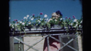1954: A Lush Garden in Pennington, New Jersey