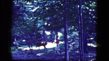 1964: young boy interacting with a deer in a forest, also a woman approaching
