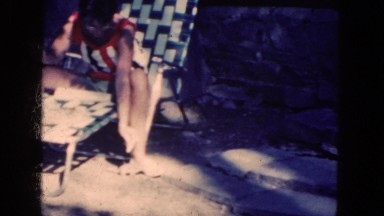 1964: feeding a chipmunk NIAGRA FALLS, NEW YORK