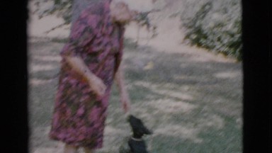 1968: bliss in the elderly with the best friend of man in a great day