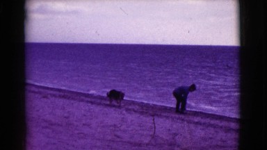 1968: the boy at the beach with his dog playing and cherish each other