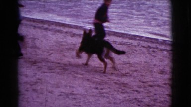 1968: the dog makes barks and crazily runs to the two boys at the beach