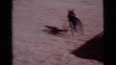 1968: black and white dog playing with a young man wearing t-shirt COTTONWOOD,