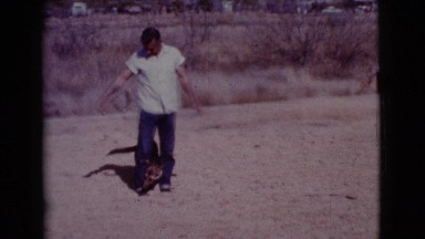 1968: the dogs are crazy when playing COTTONWOOD, ARIZONA