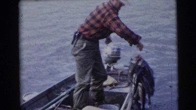 1953: a man standing upright in a boat, pulls lots of stringed fish