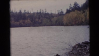 1953: a clear day, a calm lake with a beautiful line of trees
